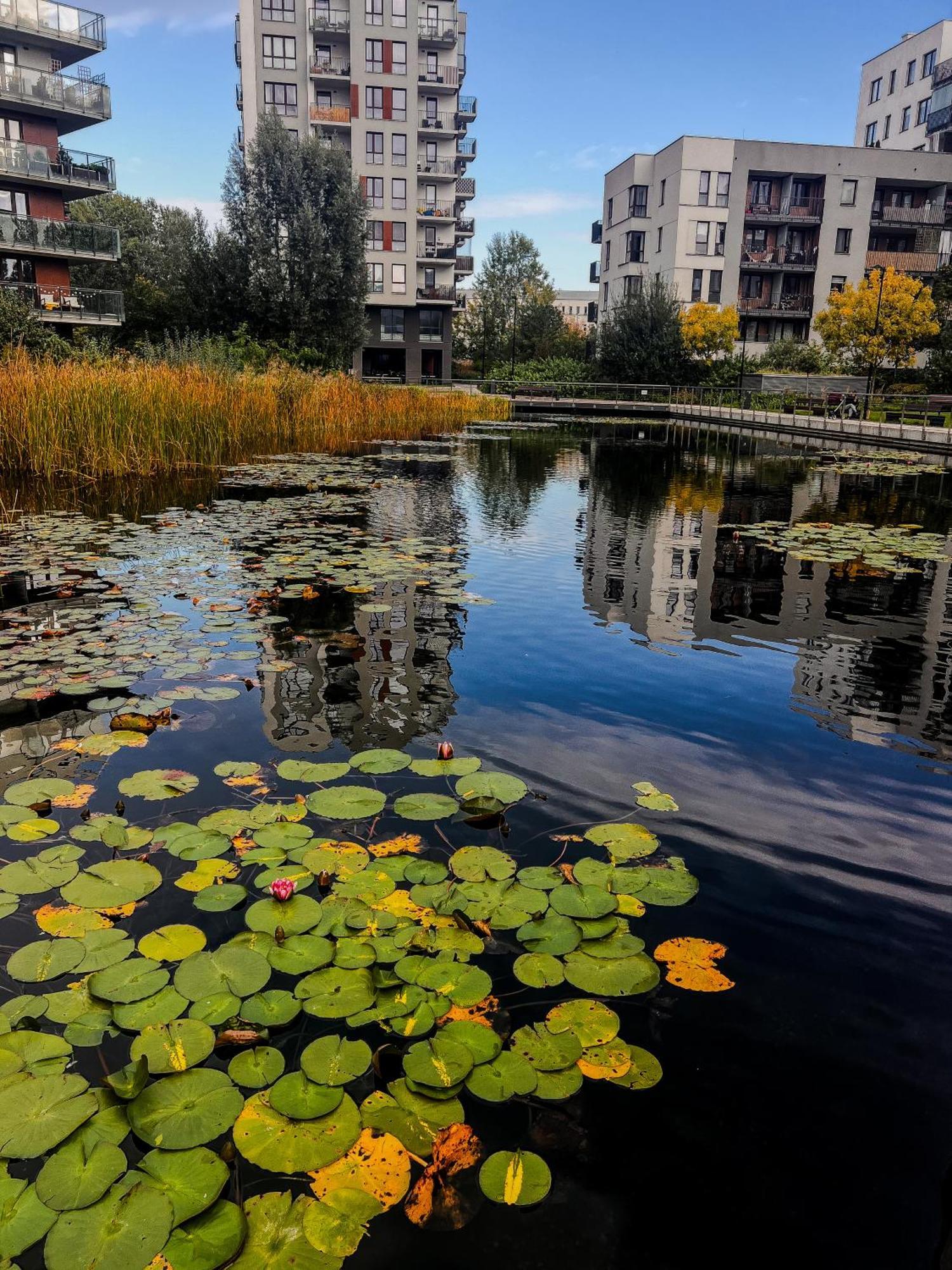 Apartamento Lake Park Apartament With Free Parking Airport Netflix Varsovia Exterior foto